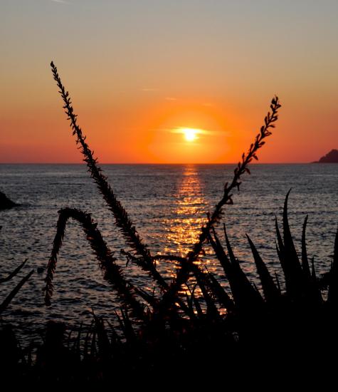 Coucher de soleil à Porto - Corse du sud - Août 2014