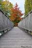 Passerelle au moulin de Fleurac (16)