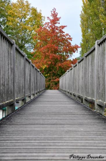 Passerelle au moulin de Fleurac (16)