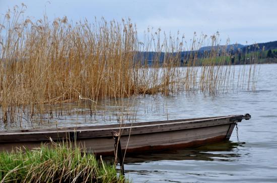 Barque sur le lac Saint Point (25)