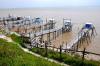 Carrelets aux environs de Talmont Sur Gironde (17)