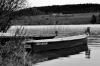 Barque sur le lac Saint Point (25)