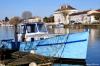 Bords de la Charente à Jarnac (16)