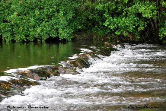 Ruisseau en Haute Saône (70)