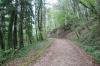 Chemin en forêt à Nans (25)