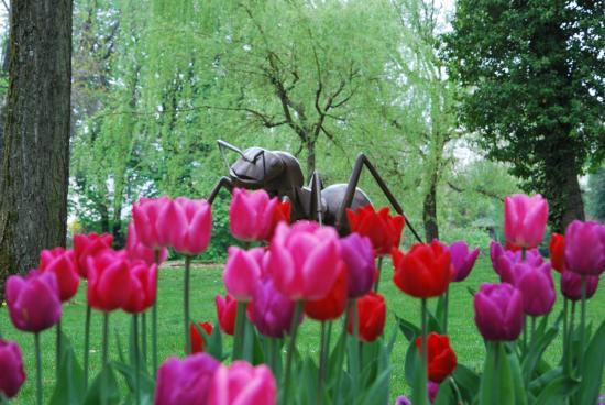 Parc du Près La Rose à Montbéliard (25)