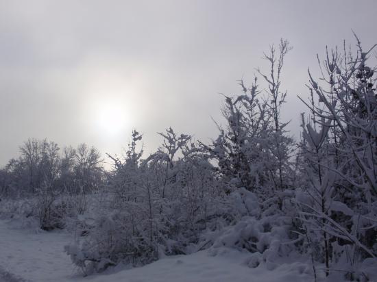 Paysage de neige - Lieu dit "Les Roches" - Pont-De-Roide (25