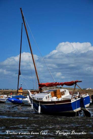 Bateau à marée basse (56)