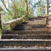 Escaliers qui mènent au Saut Du Doubs (25)