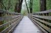 Passerelle en bois sur l'étang des Forges (90)