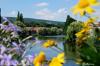 Le Doubs passe à Pont-De-Roide (25)