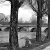 Le pont de Voujeaucourt en noir et blanc (25)