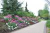 Allée du parc du Près La Rose à Montbéliard (25)