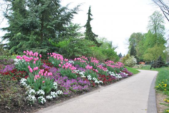 Allée du parc du Près La Rose à Montbéliard (25)