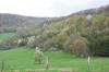 Forêt au printemps, du côté de Clémont (25)