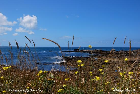 Côte sauvage à Quiberon (56)