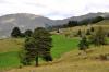 En allant au lac de Barbeyroux à l'est de Saint Bonnet (05)