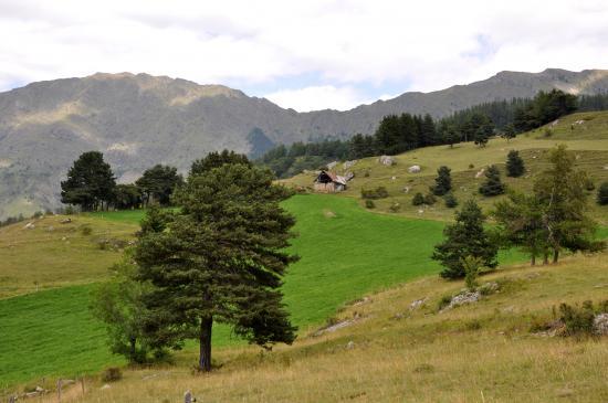 En allant au lac de Barbeyroux à l'est de Saint Bonnet (05)