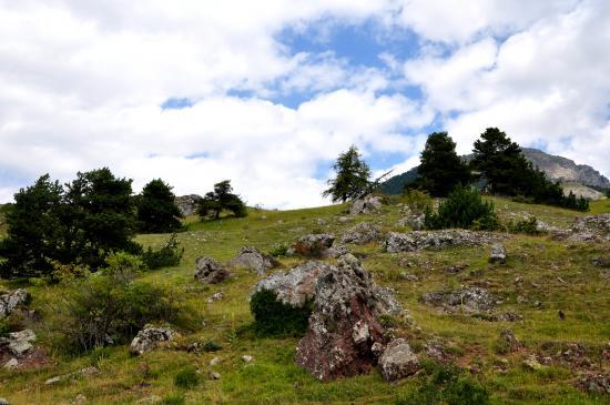 Paysage montagneux dans la vallée du Champsaur (05)
