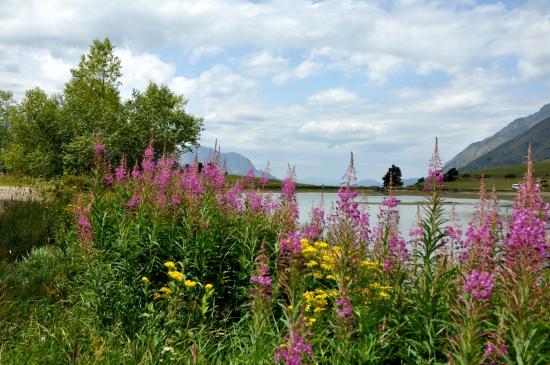 Lac de Barbeyroux à l'est de Saint Bonnet (05)