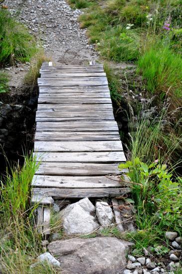 Petit pont en allant au lac du Lauzon (05)