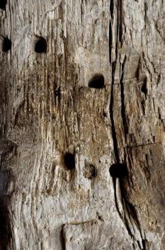 Nature et architecture dans le Doubs (25)