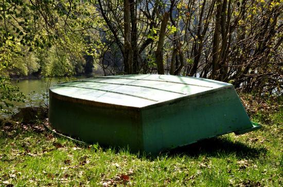 Nature dans le Jura au printemps (39)