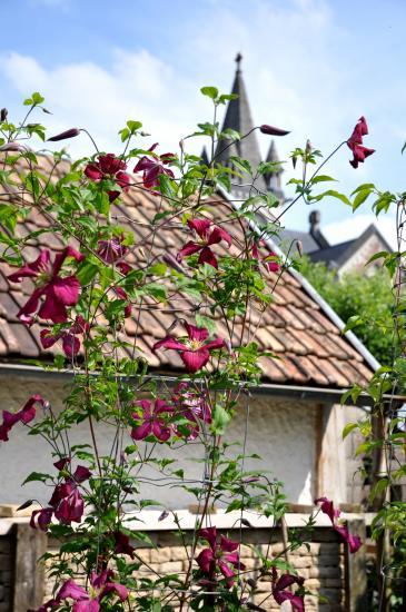 Maison fleurie à Sancey-Le-Long (25)
