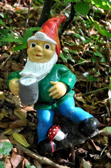 Forêt des petits nains à Sancey-Le-Long (25)