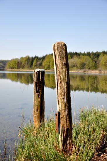 Lac dans le Jura (39)