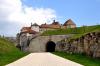 Château de Joux au printemps (25)