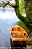 Barque sur le lac de Bonlieu (39)