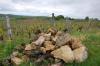 Vignoble à Arbois (39)