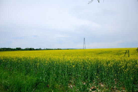 Alentours du village de Blamont (25)