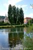 Pont De Roide centre ville depuis la rive droite du Doubs (25)