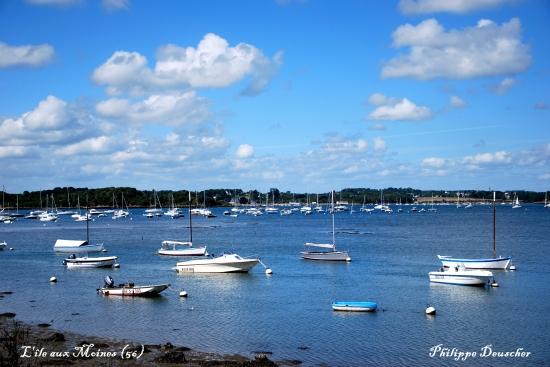 Ile aux Moines (56)