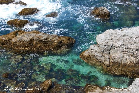 Pointe des Poulains (56)