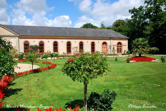 Haras d'Hennebont (56)