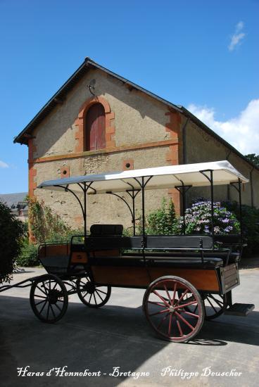 Haras nationaux d'Hennebont (56)