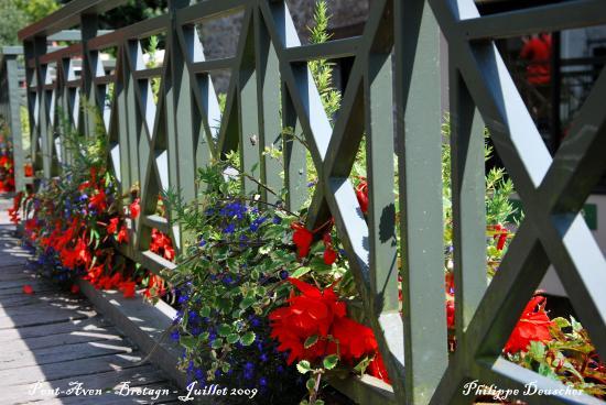 Pont-Aven (29)