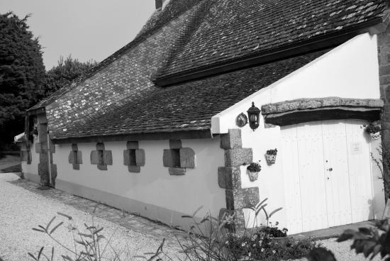 Bretagne sud (56)