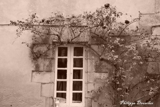 Façade en Bretagne sud (56)