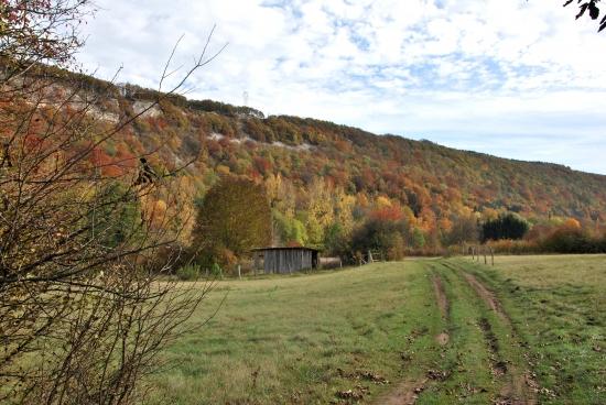 En allant au bord du Doubs à Mathay (25)