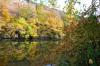 Bord du Doubs à Mathay (25)