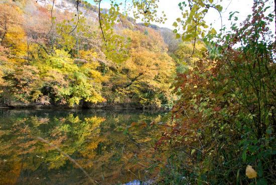 Bord du Doubs à Mathay (25)