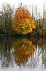 Reflets sur le Doubs à Bavans (25)