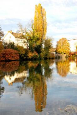 Reflets su l'Allan à Montbéliard (25)