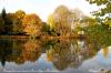 Reflets sur l'Allan à Montbéliard (25)