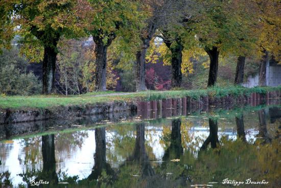 Reflets dans un canal (90)