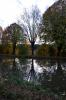 Reflets d'arbres dans un canal (90)